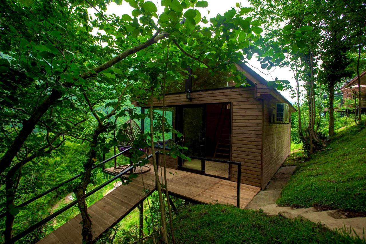 Woodpecker Ვუდფექერი Villa Batumi Esterno foto