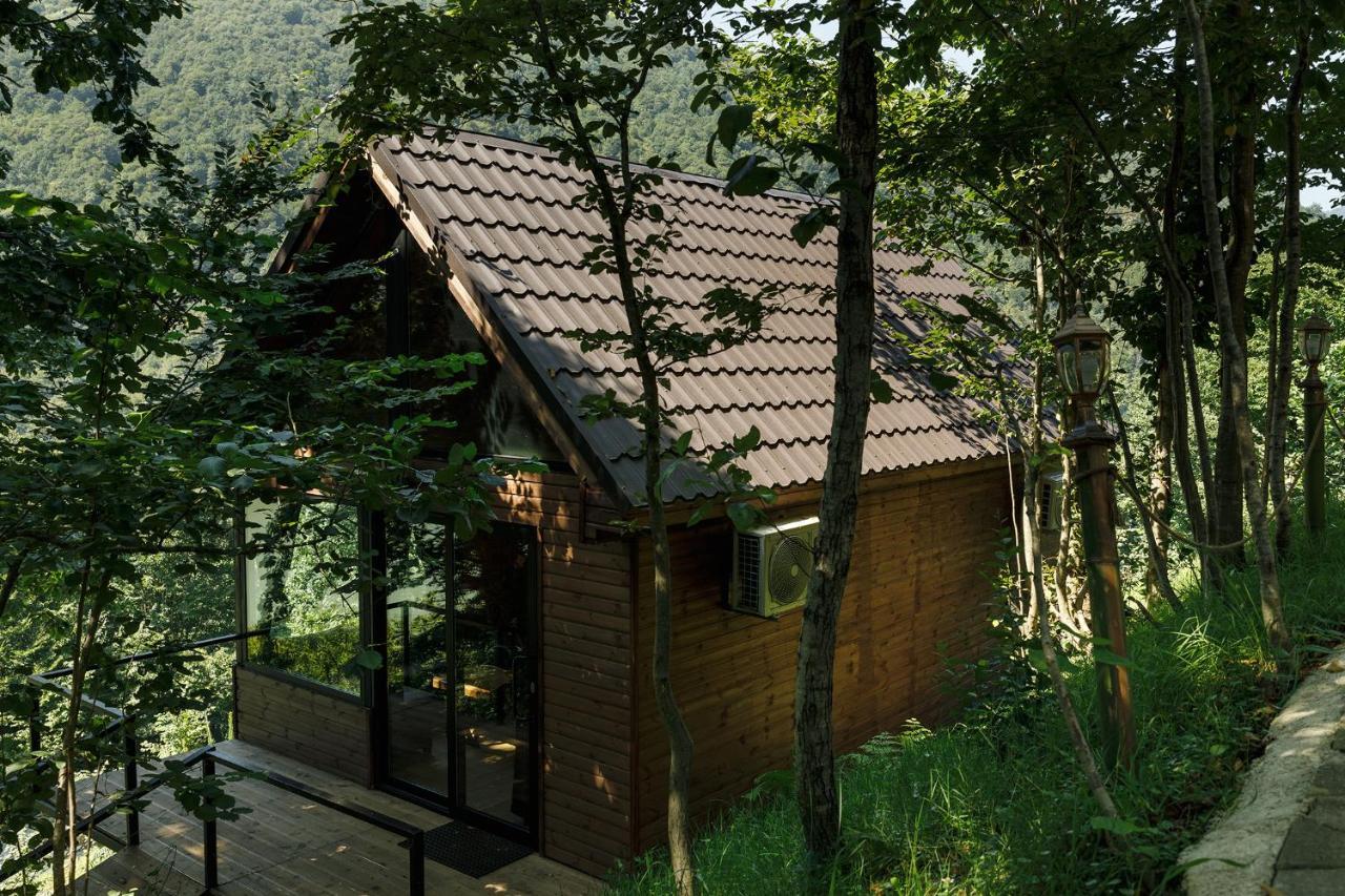 Woodpecker Ვუდფექერი Villa Batumi Esterno foto