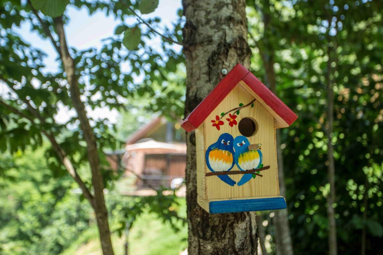 Woodpecker Ვუდფექერი Villa Batumi Esterno foto